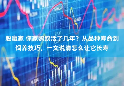 股赢家 你家鹦鹉活了几年？从品种寿命到饲养技巧，一文说清怎么让它长寿