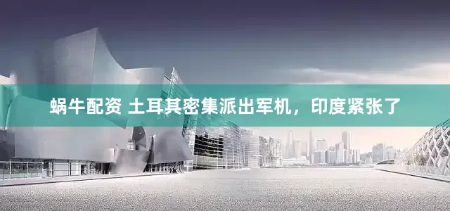 蜗牛配资 土耳其密集派出军机，印度紧张了